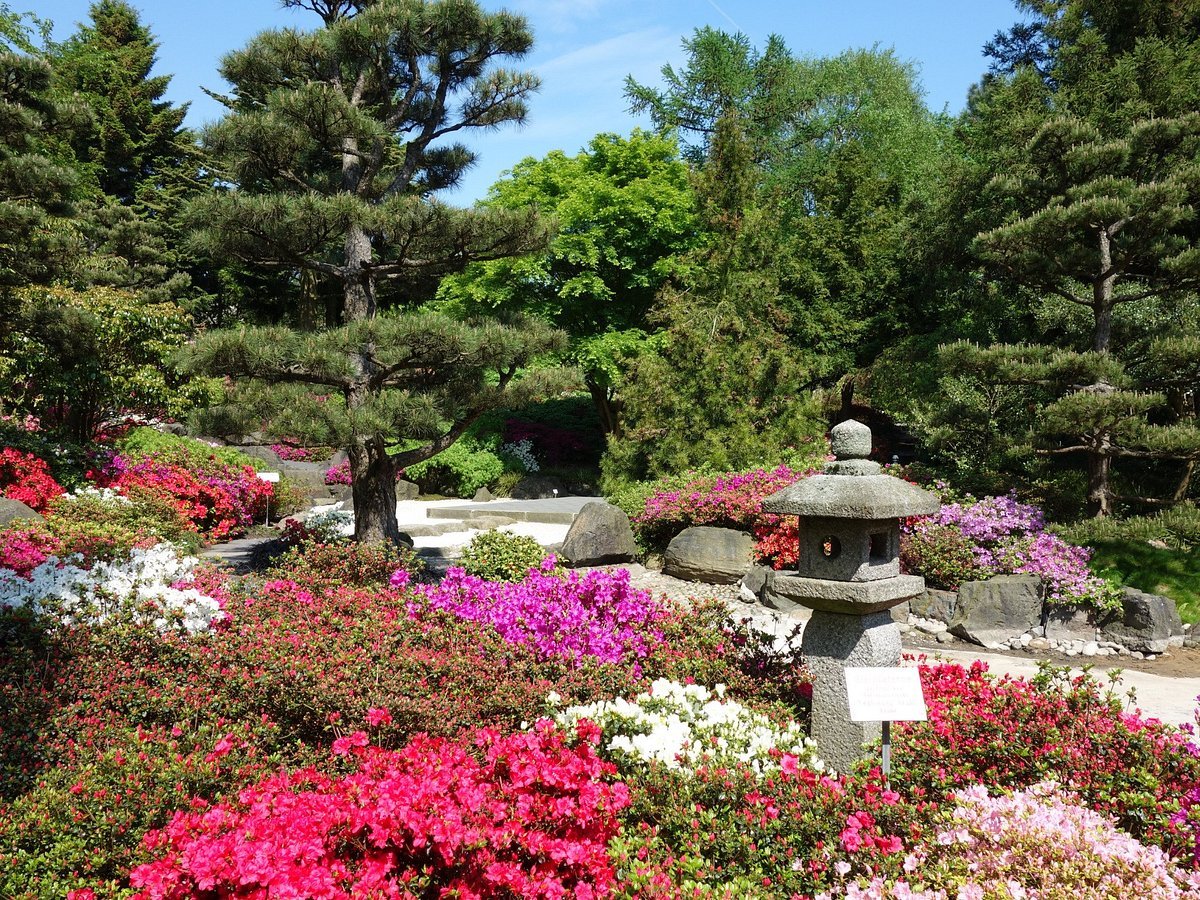 🌳 로키 슈미트 정원 함부르크 대학교 식물원(로키-슈미트-가르텐 보타니셔 가르텐 데어 우니베르지테트 함부르크)